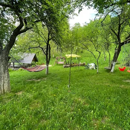 Casa Titiana Vakantiehuis Suncuius